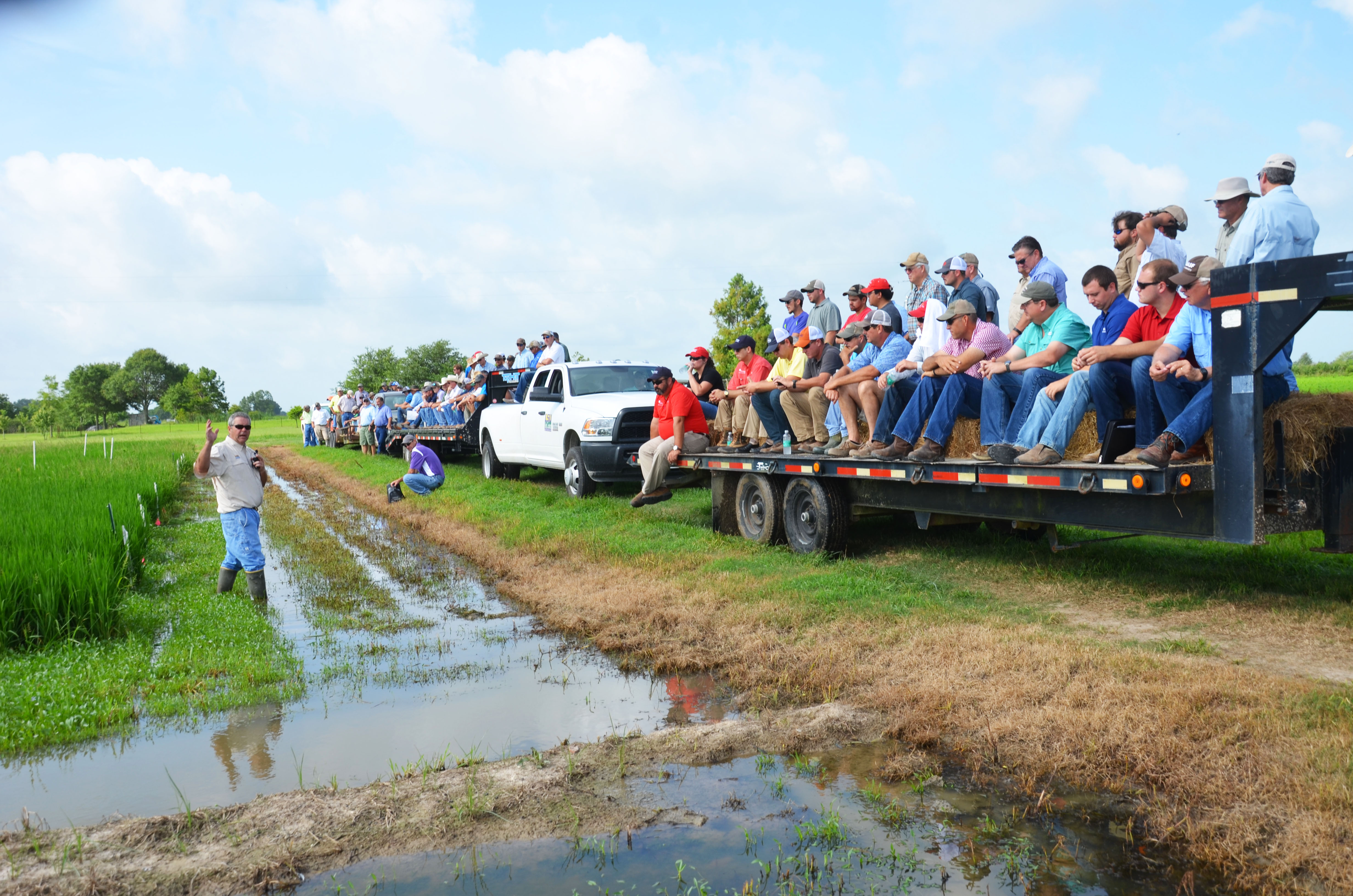 LSU AgCenter testing new rice herbicide